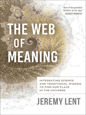 cover image of The Web of Meaning
